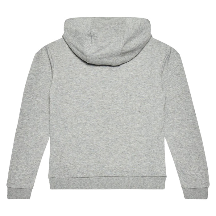 Adidas Trefoil Hoodie Big Kids Style : Ge1979