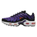 Nike Air Max Plus (Gs) Big Kids Style : Cd0609