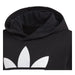 Adidas Trefoil Hoodie Big Kids Style : Dv2870