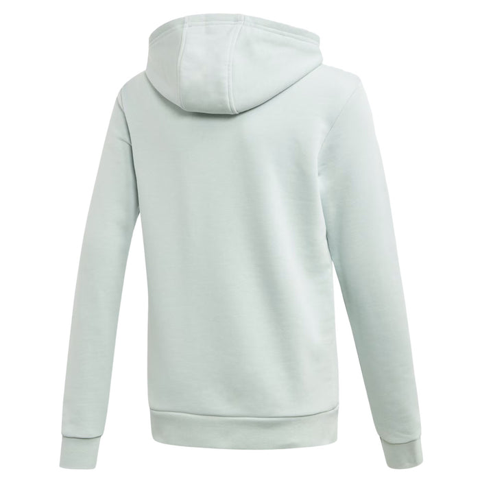 Adidas Trefoil Hoodie Big Kids Style : Ed7814